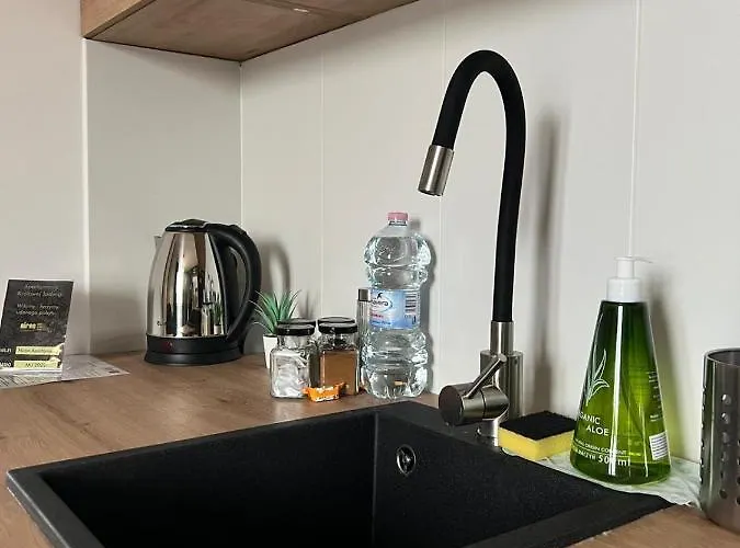 Niron Królowej Jadwigi Apartamento Złotów